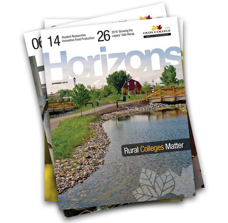 Stack of Olds College Horizons Magazines